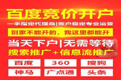 竞价推广技巧分享：成功案例剖析
